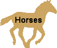 horses button
