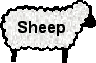 sheep button