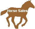 horse sales button